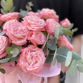 Миниатюра 2