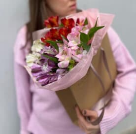 Миниатюра 1