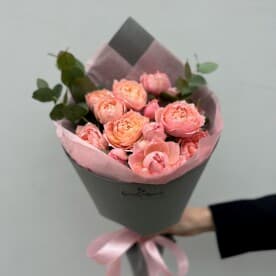 Миниатюра 3