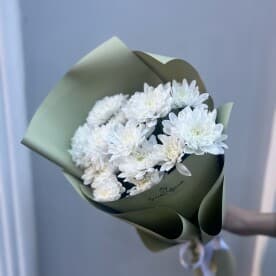 Миниатюра 3