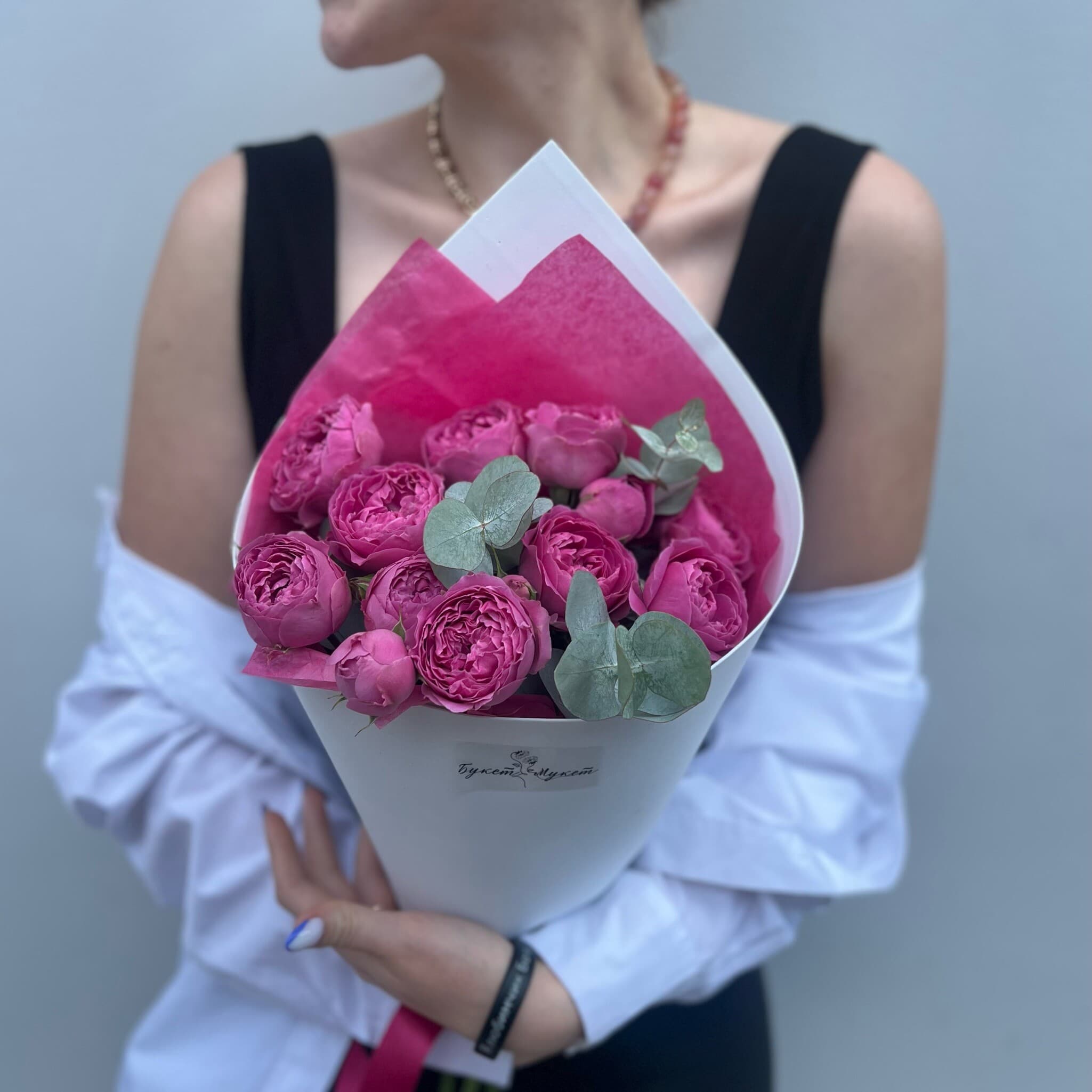 «Panna Cotta» SENO