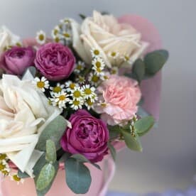 Миниатюра 3