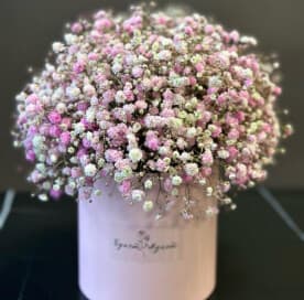 Миниатюра 4