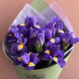 Миниатюра 5