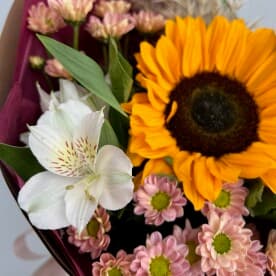 Миниатюра 2