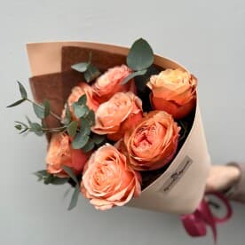 Миниатюра 5