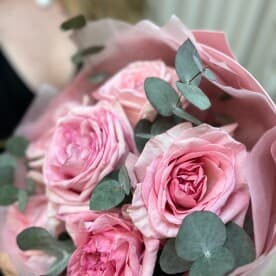 Миниатюра 2