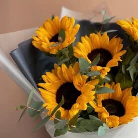 Миниатюра 2