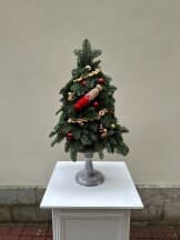 Миниатюра 5