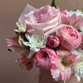 Миниатюра 4