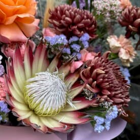 Миниатюра 4