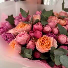 Миниатюра 3