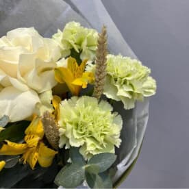 Миниатюра 4