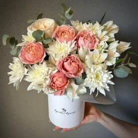 Миниатюра 5