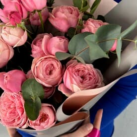 Миниатюра 4