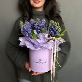 Миниатюра 4