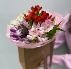 Миниатюра 3