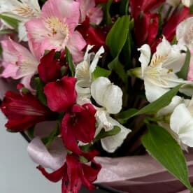 Миниатюра 5