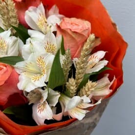 Миниатюра 3