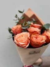 Миниатюра 5