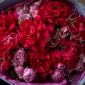 Миниатюра 5