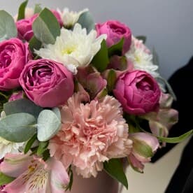 Миниатюра 2