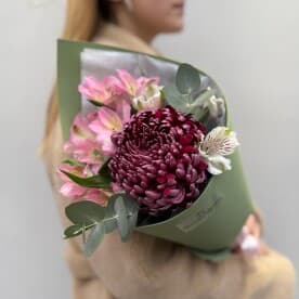 Миниатюра 1