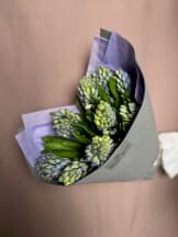 Миниатюра 7