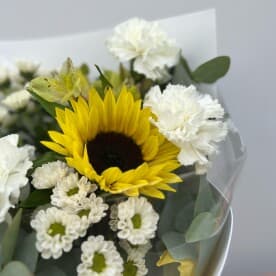 Миниатюра 4