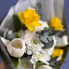 Миниатюра 5