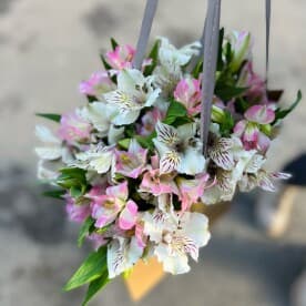 Миниатюра 5