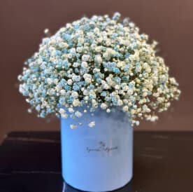 Миниатюра 3