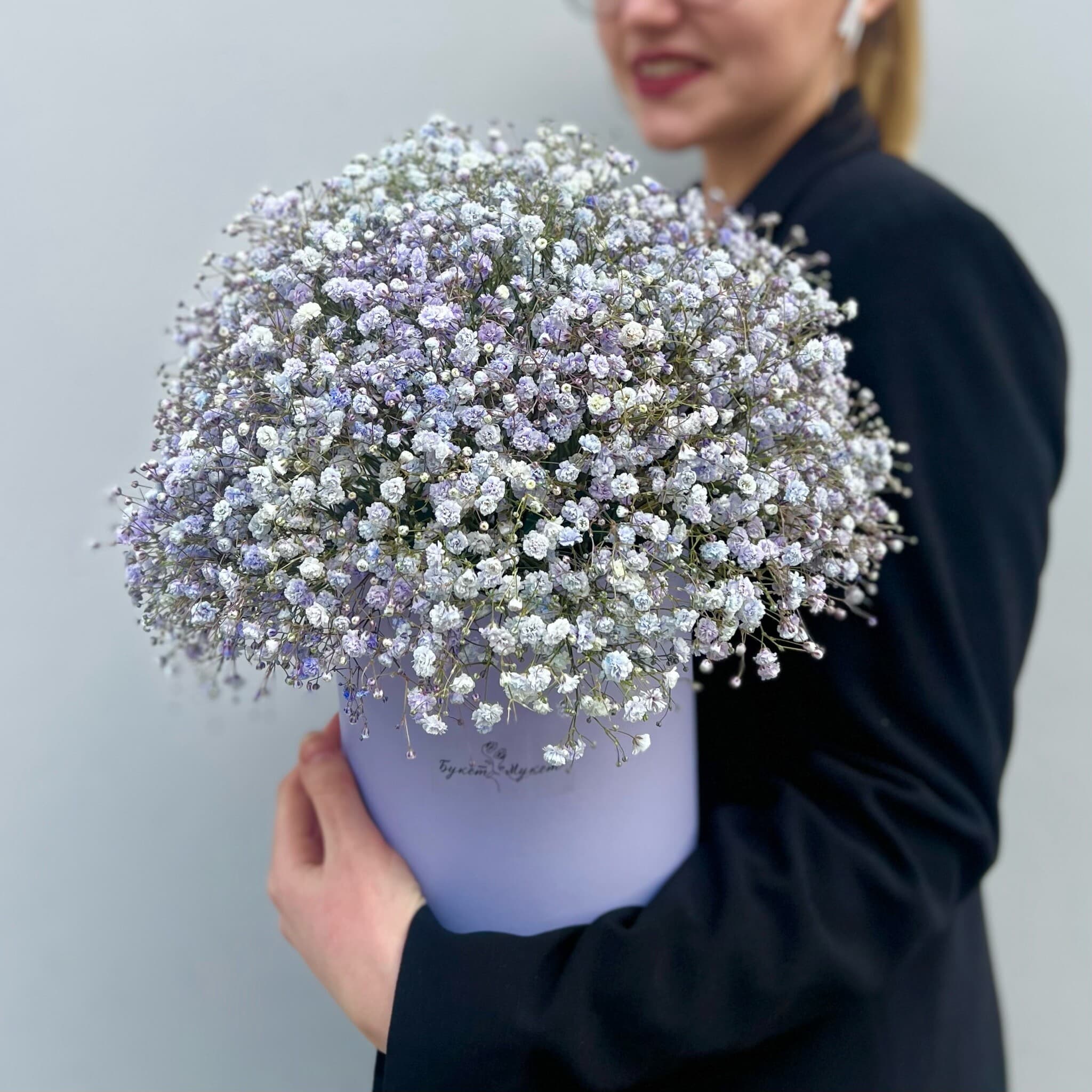 Коробка «Гипсофила лавандовая» SENO