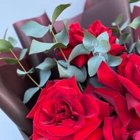 Миниатюра 5