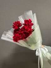 Миниатюра 2