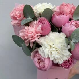 Миниатюра 3