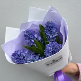 Миниатюра 2