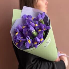 Миниатюра 1