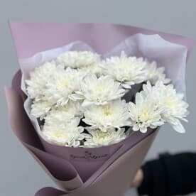 Миниатюра 4