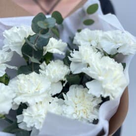 Миниатюра 9