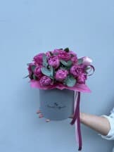 Миниатюра 2