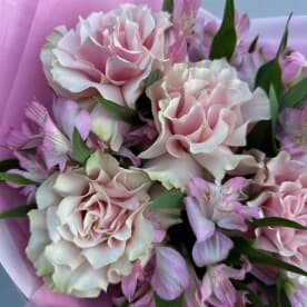 Миниатюра 3