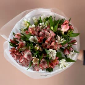 Миниатюра 3